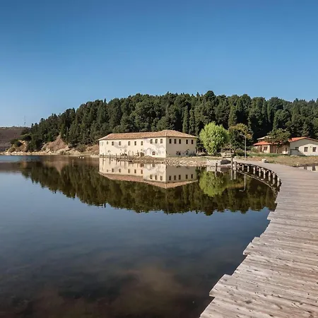 Star House 12 Vlorë